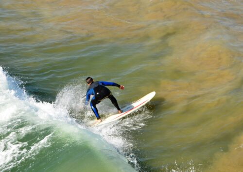 DEL SURF A LOS VIDEOJUEGOS EN LÍNEA. OCIO DIGITAL