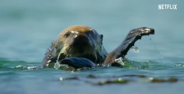 documental our planet