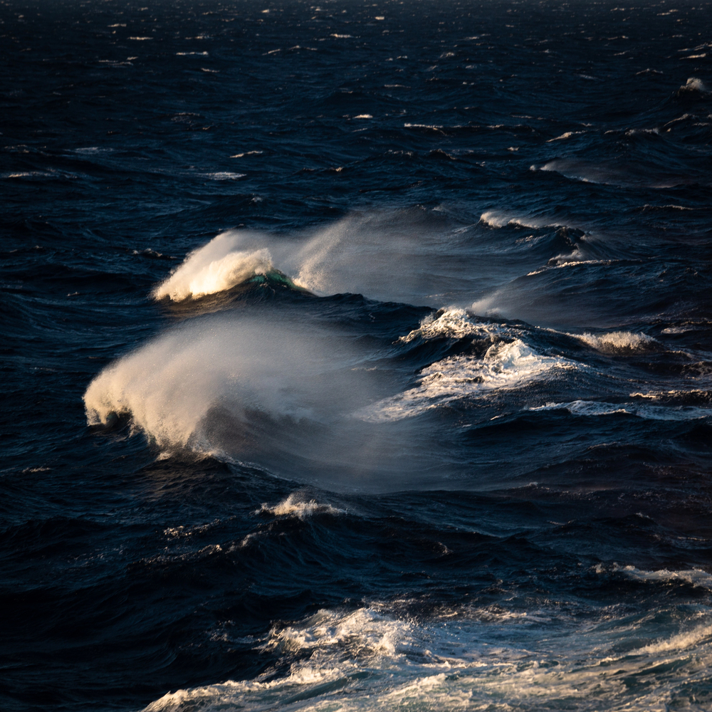 Surf y Olas