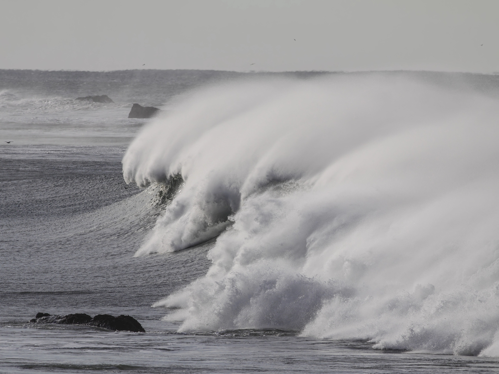 Surf y Olas