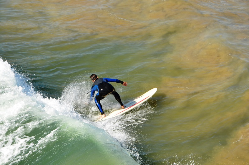 del surf a la pantalla