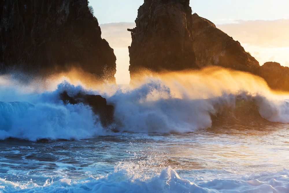 Surf y Olas
