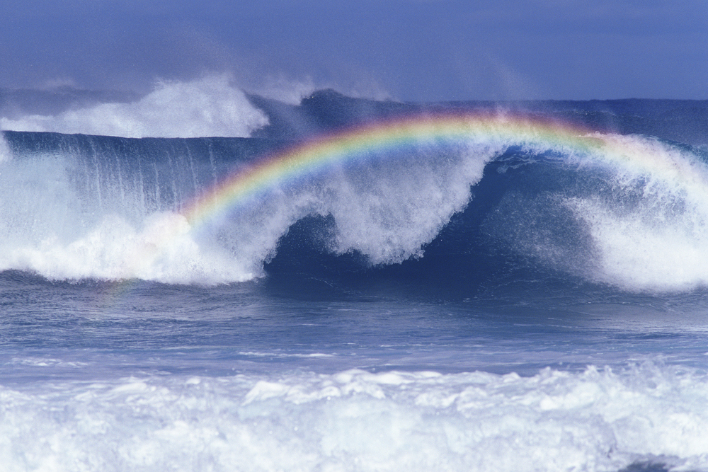 surf y olas