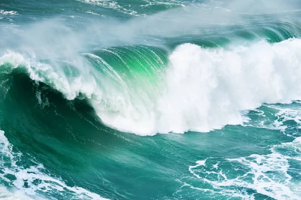 surf y olas