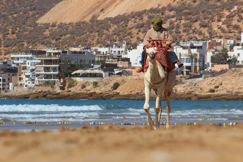 surf trip en Mirleft