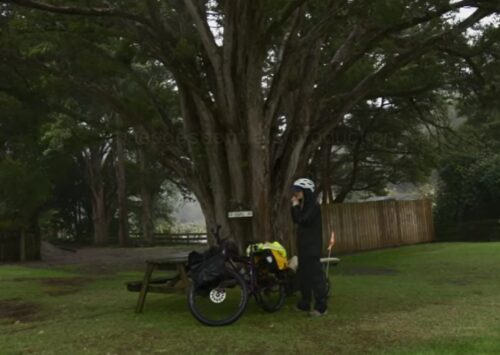SPACES IN BETWEEN: Surf y Bicicleta por Nueva Zelanda