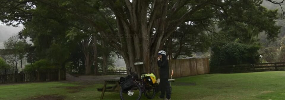 SPACES IN BETWEEN: Surf y Bicicleta por Nueva Zelanda