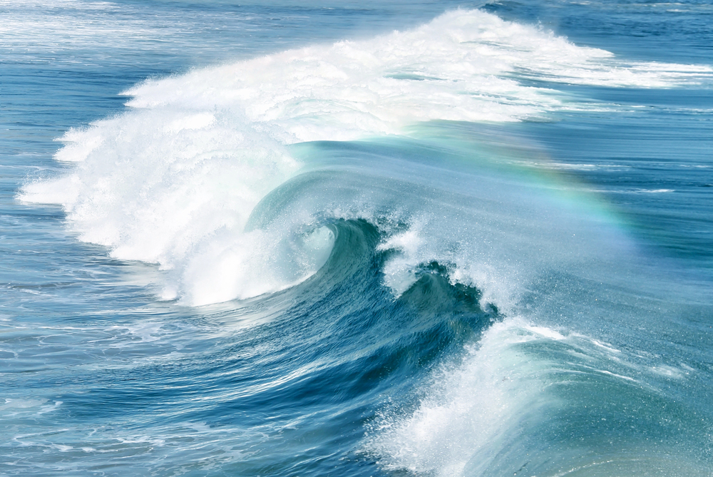 surf y olas