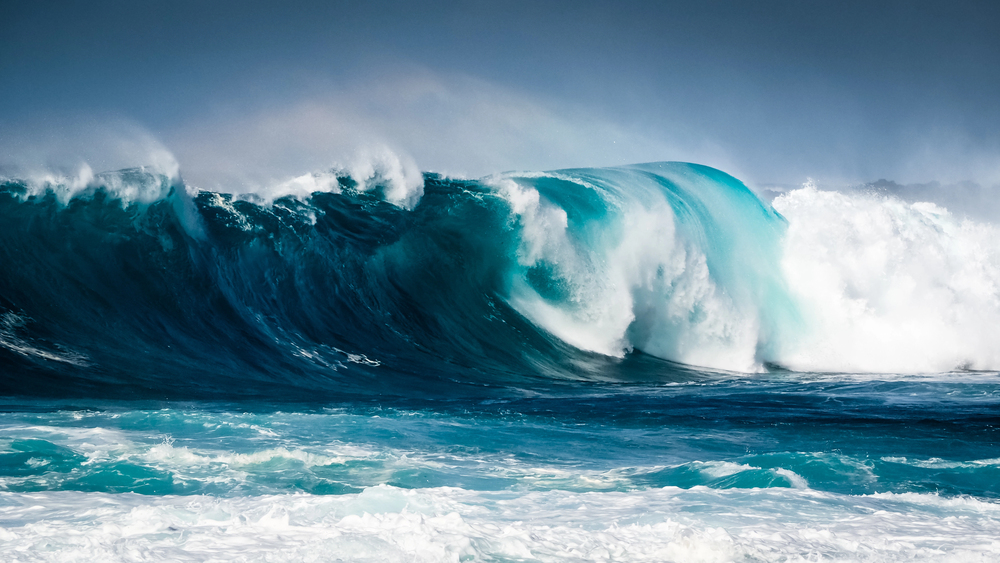 Surf y Olas