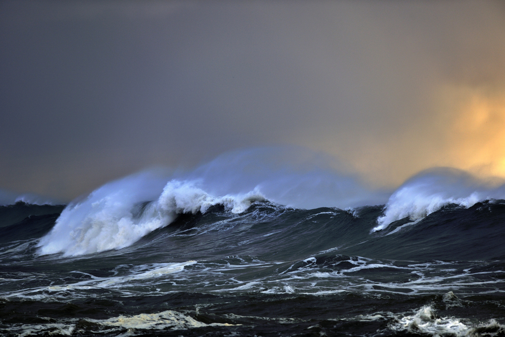 surf y olas