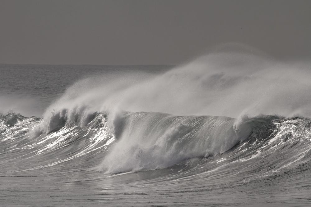 surf y olas