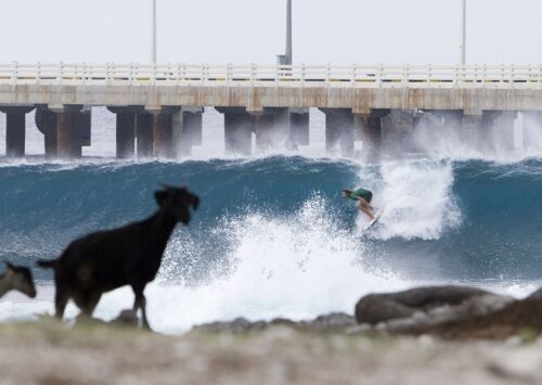 Dave Rastovich surf INDIA in CASTLES IN THE SKY