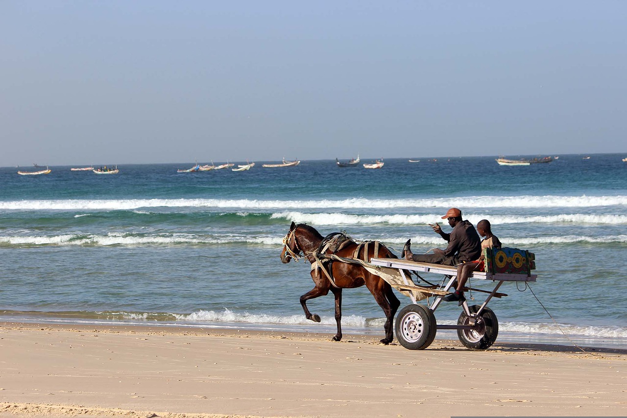 surf en Dakar