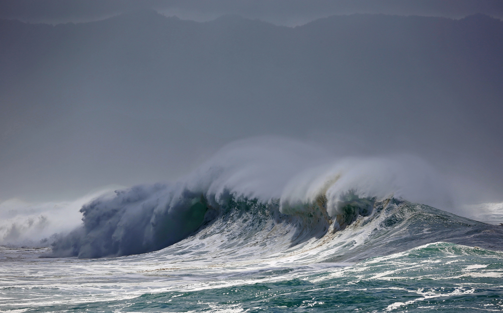 Surf y Olas