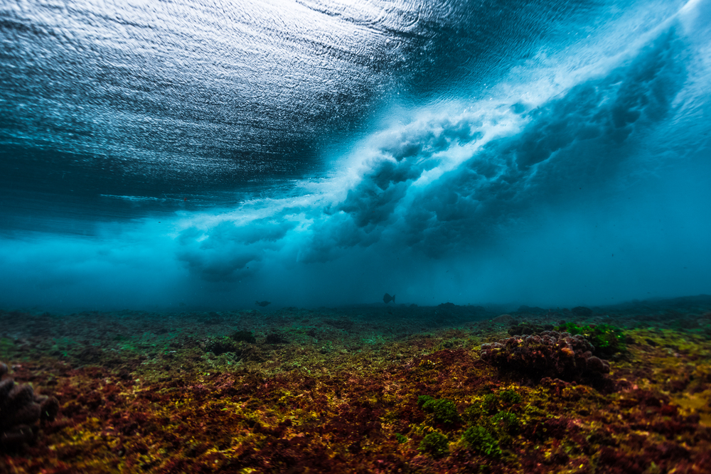 surf y olas