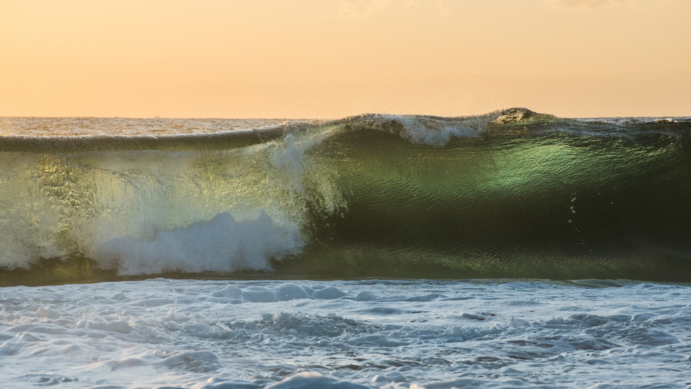 surf y olas
