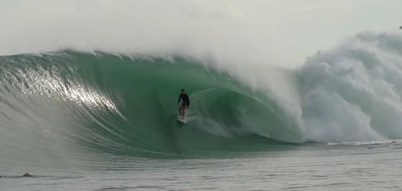 nias swell