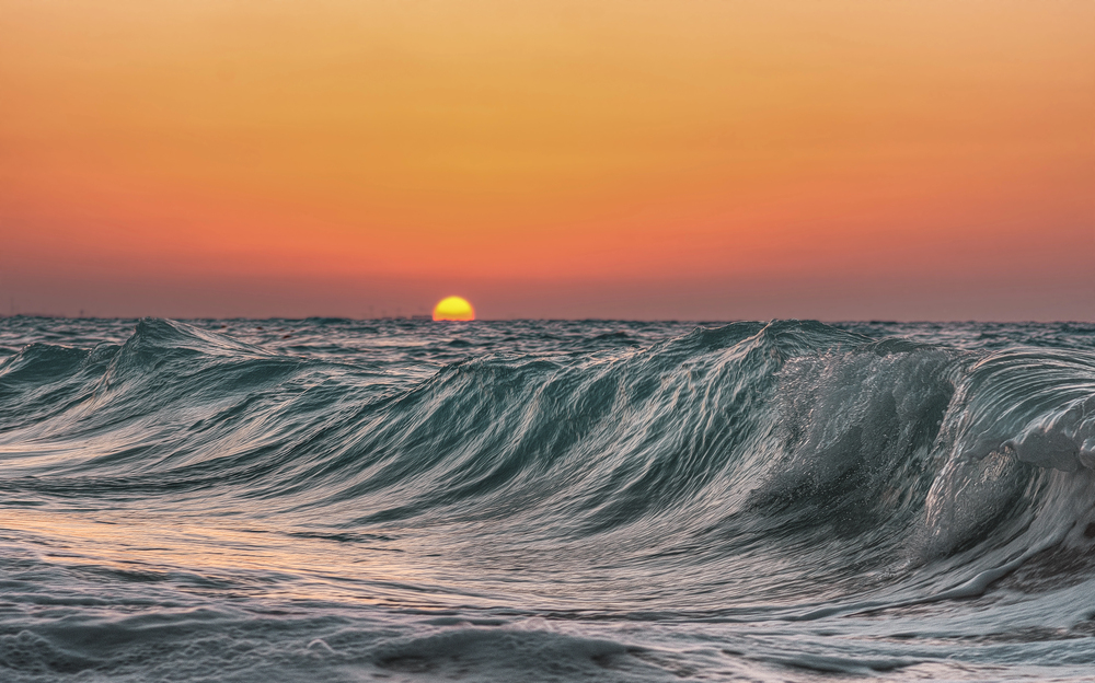 surf y olas
