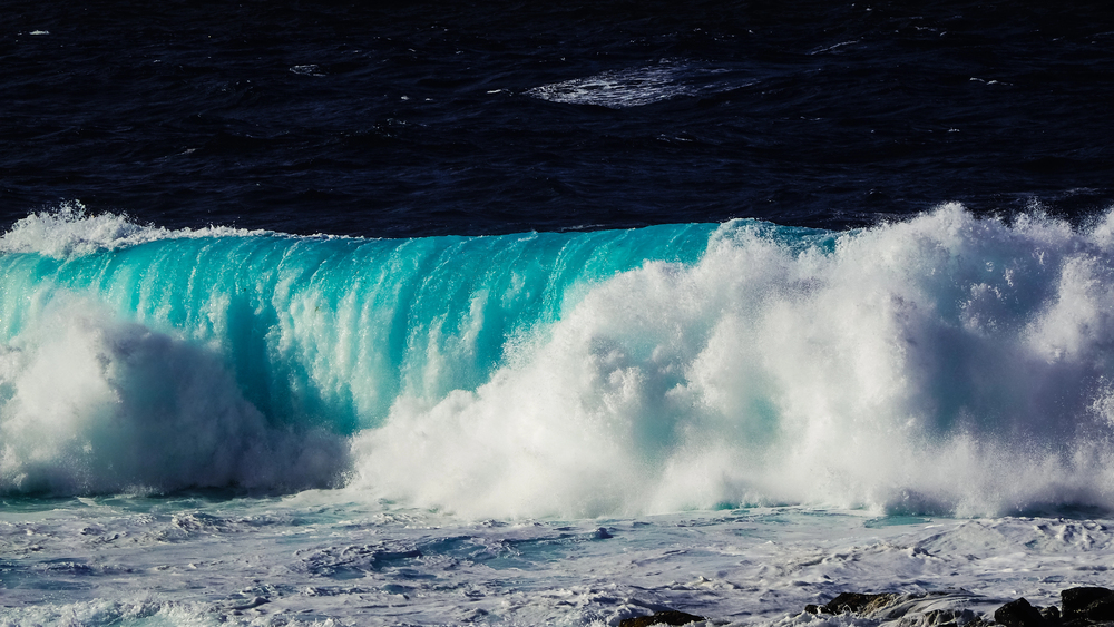 surf y olas