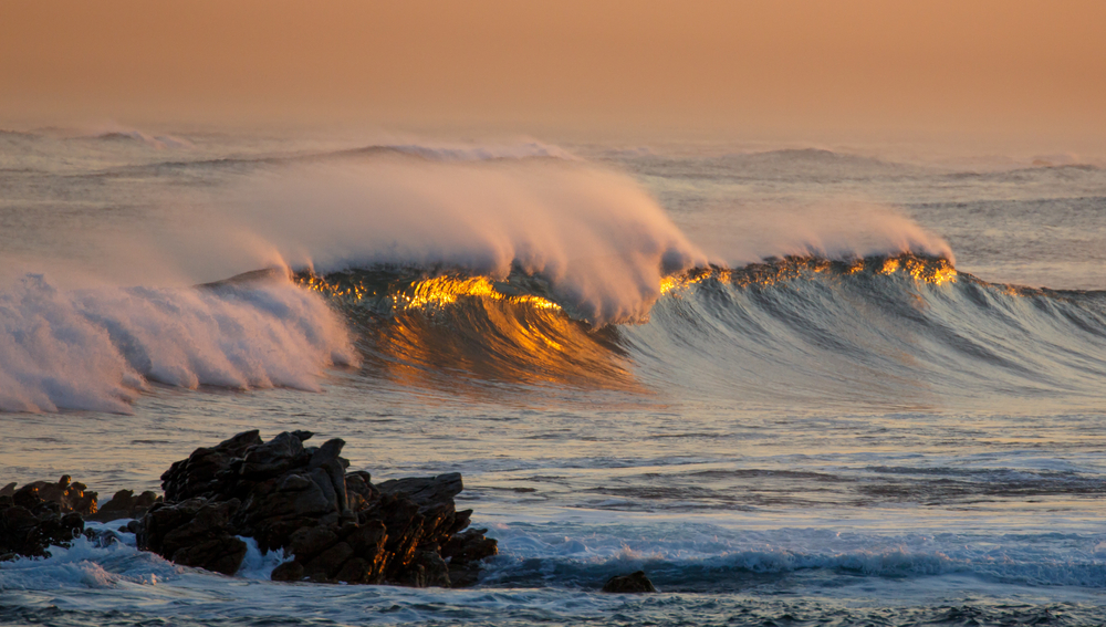 surf y olas