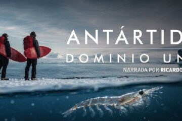 SURFEAR EN LA ANTÁRTIDA – GAUCHOS DEL MAR
