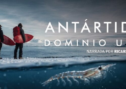 SURFEAR EN LA ANTÁRTIDA – GAUCHOS DEL MAR