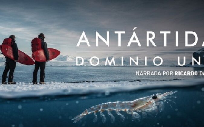 SURFEAR EN LA ANTÁRTIDA – GAUCHOS DEL MAR
