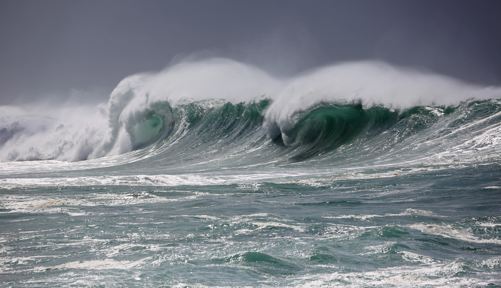 Surf y Olas