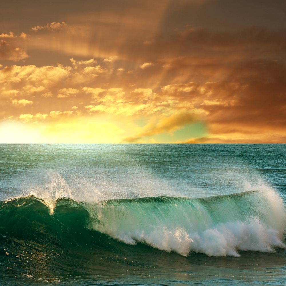 surf y olas