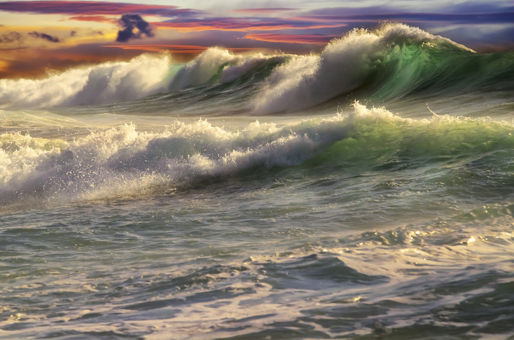 surf y olas