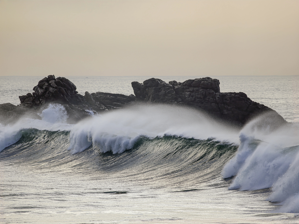 surf y olas