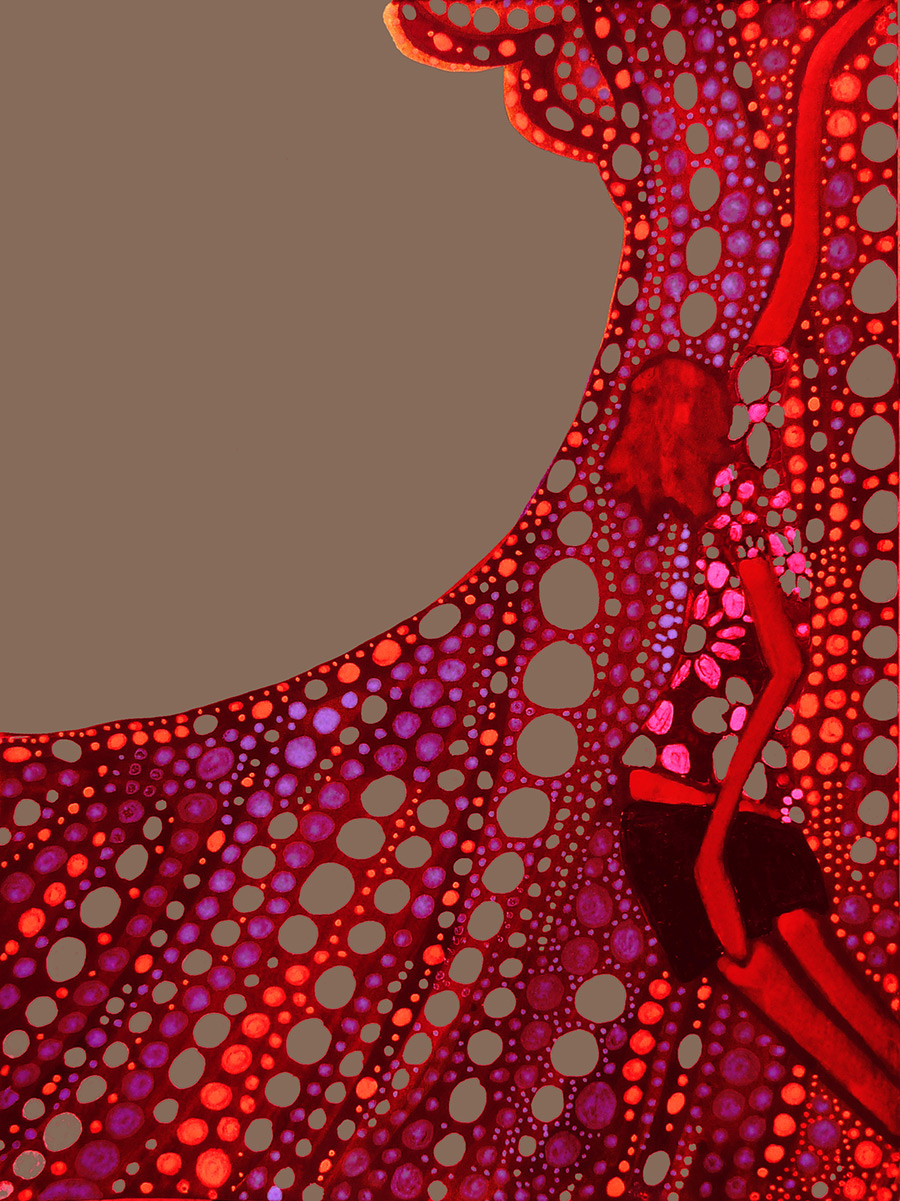 andy davis _flowerbowl_orig_900