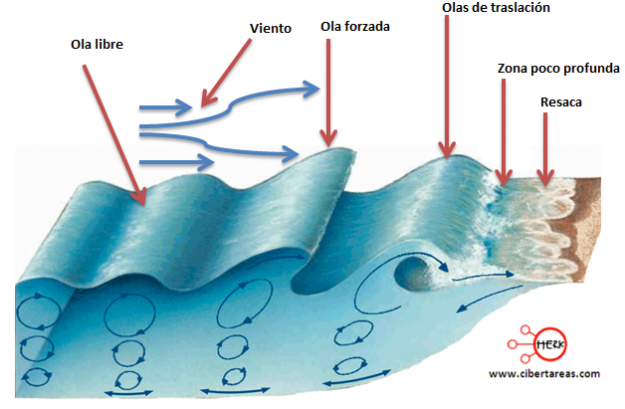 Tipos de Olas - SURFER RULE